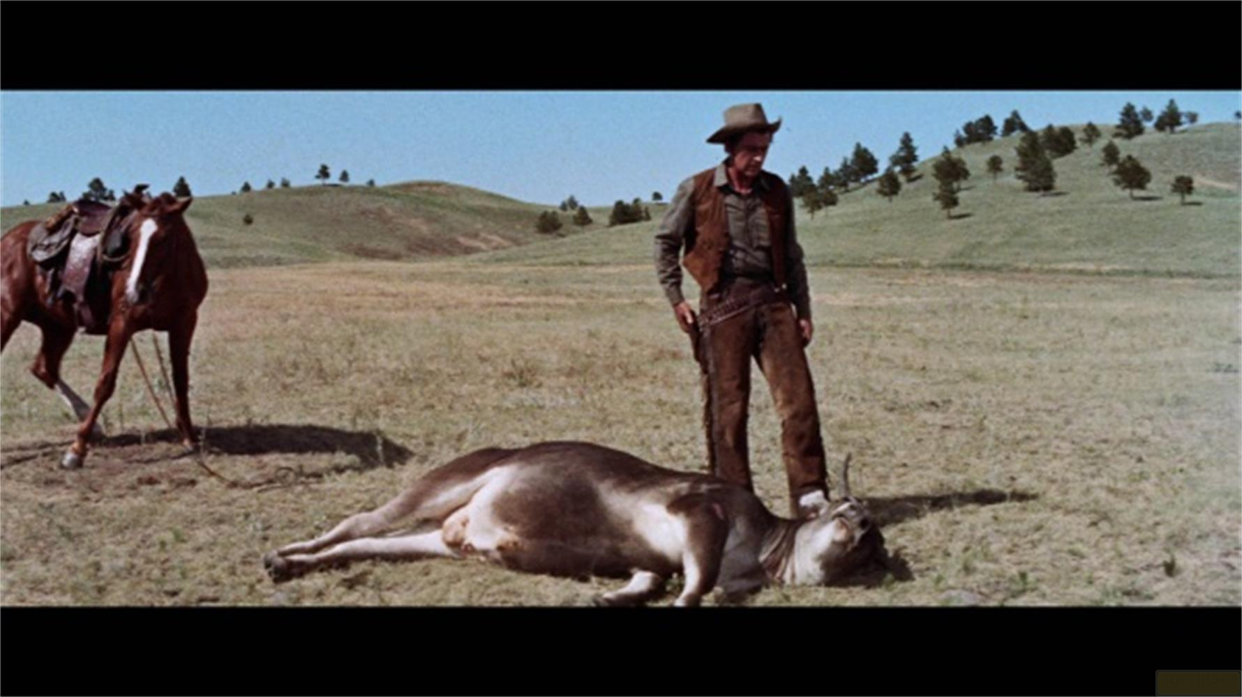Un cowboy è accanto a una mucca morta in un campo erboso con un cavallo sullo sfondo.