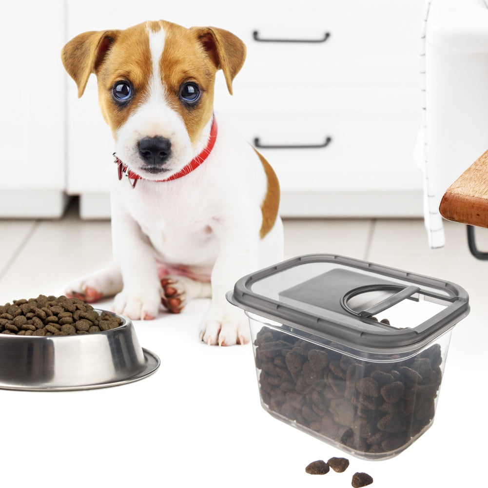 Un cachorro de Jack Russell Terrier se sienta junto a cuencos de comida y un contenedor.