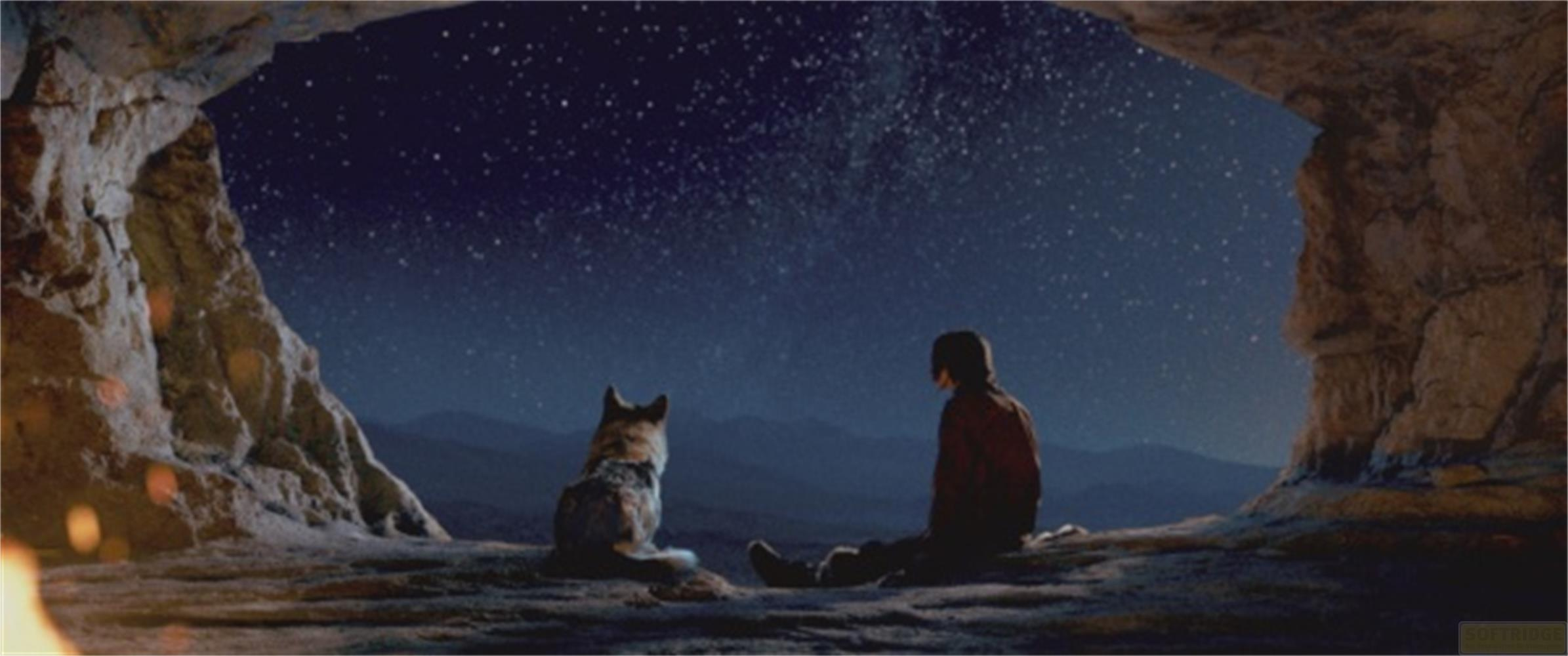 Un uomo e un lupo siedono in una grotta guardando un cielo notturno stellato.