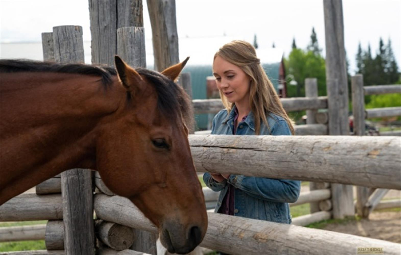 Una donna in giacca di jeans parla a un cavallo marrone in un recinto di legno.
