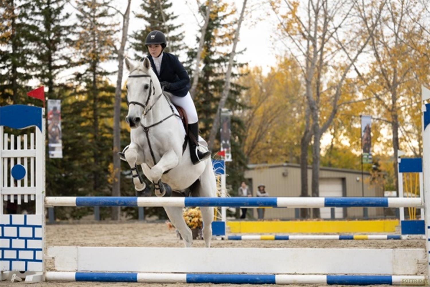 Un cavaliere su un cavallo bianco salta un ostacolo in una competizione.