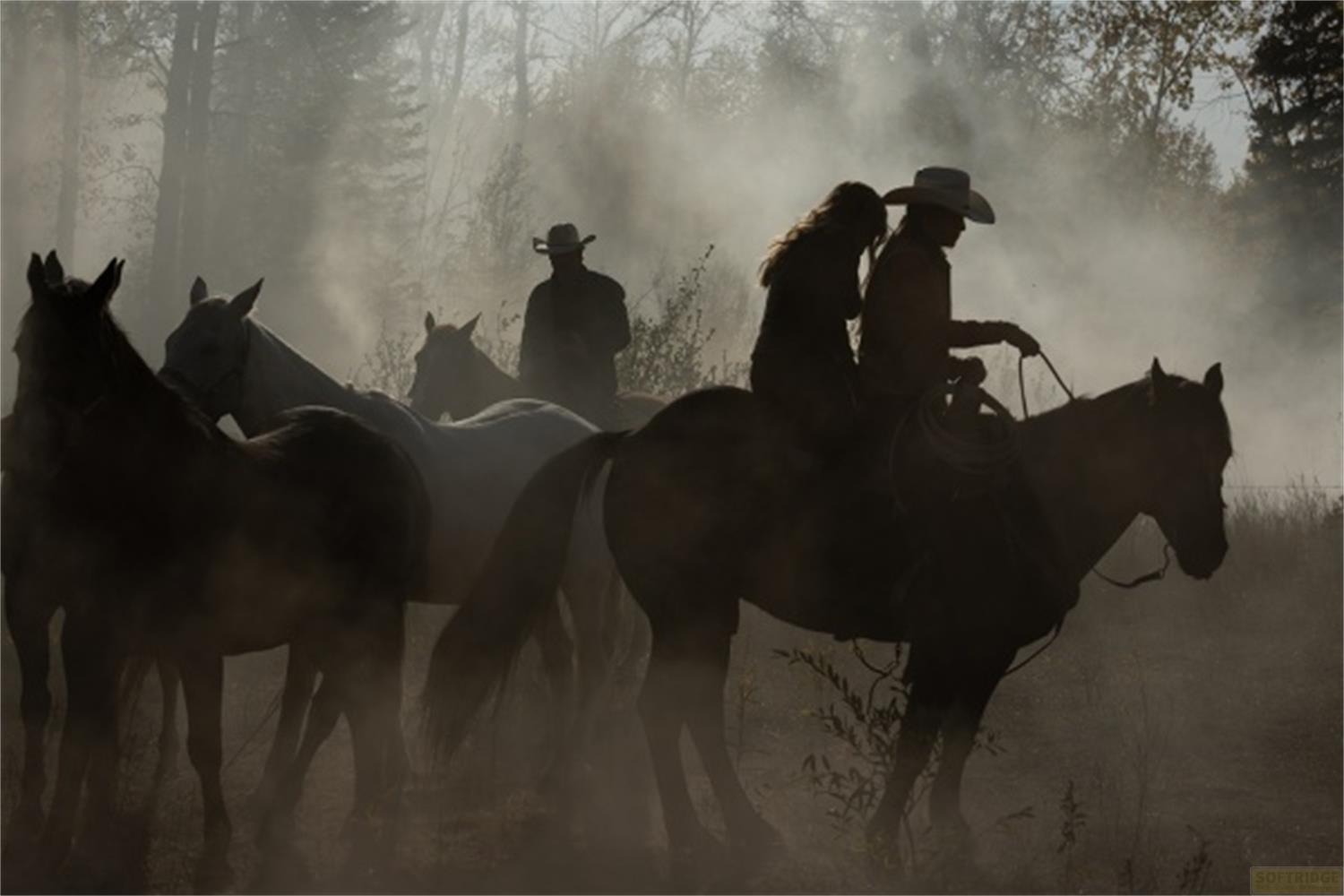 Sagome di cowboy e cavalli in una radura nebbiosa.