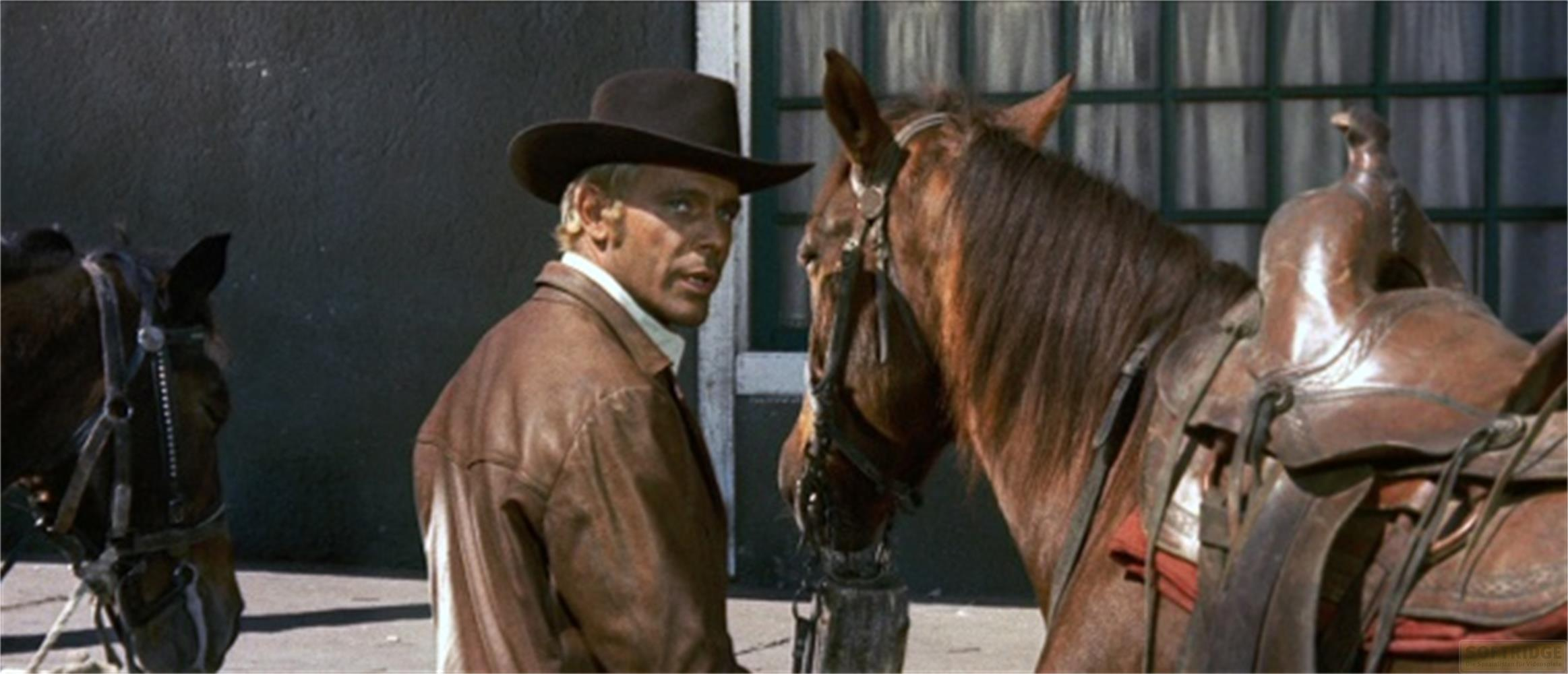 Un uomo con cappello marrone e giacca di pelle sta accanto a un cavallo.