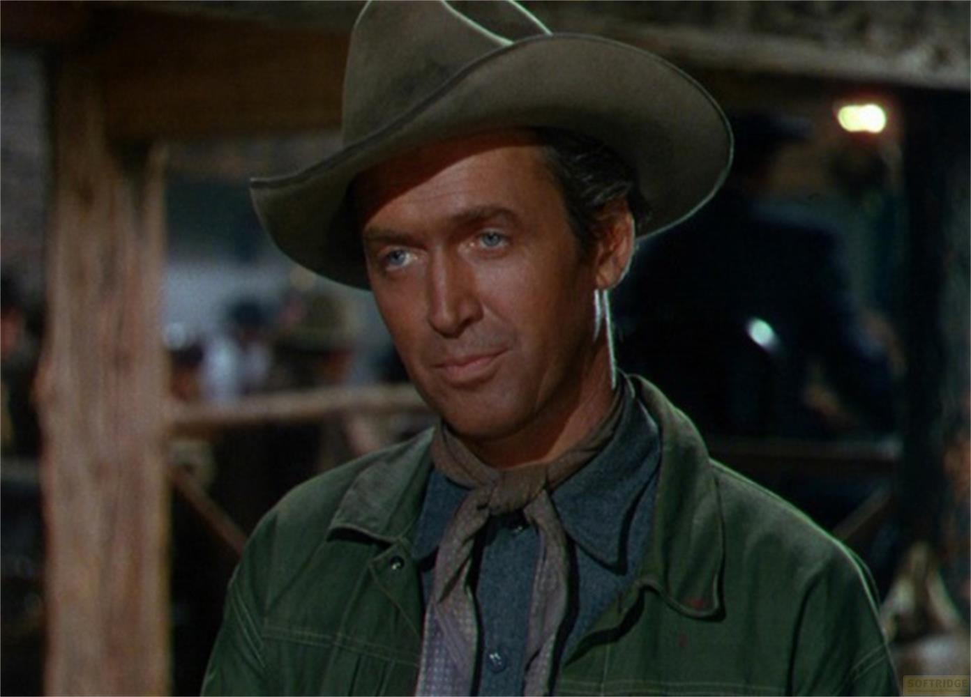 Un uomo con cappello da cowboy e giacca verde guarda a sinistra.