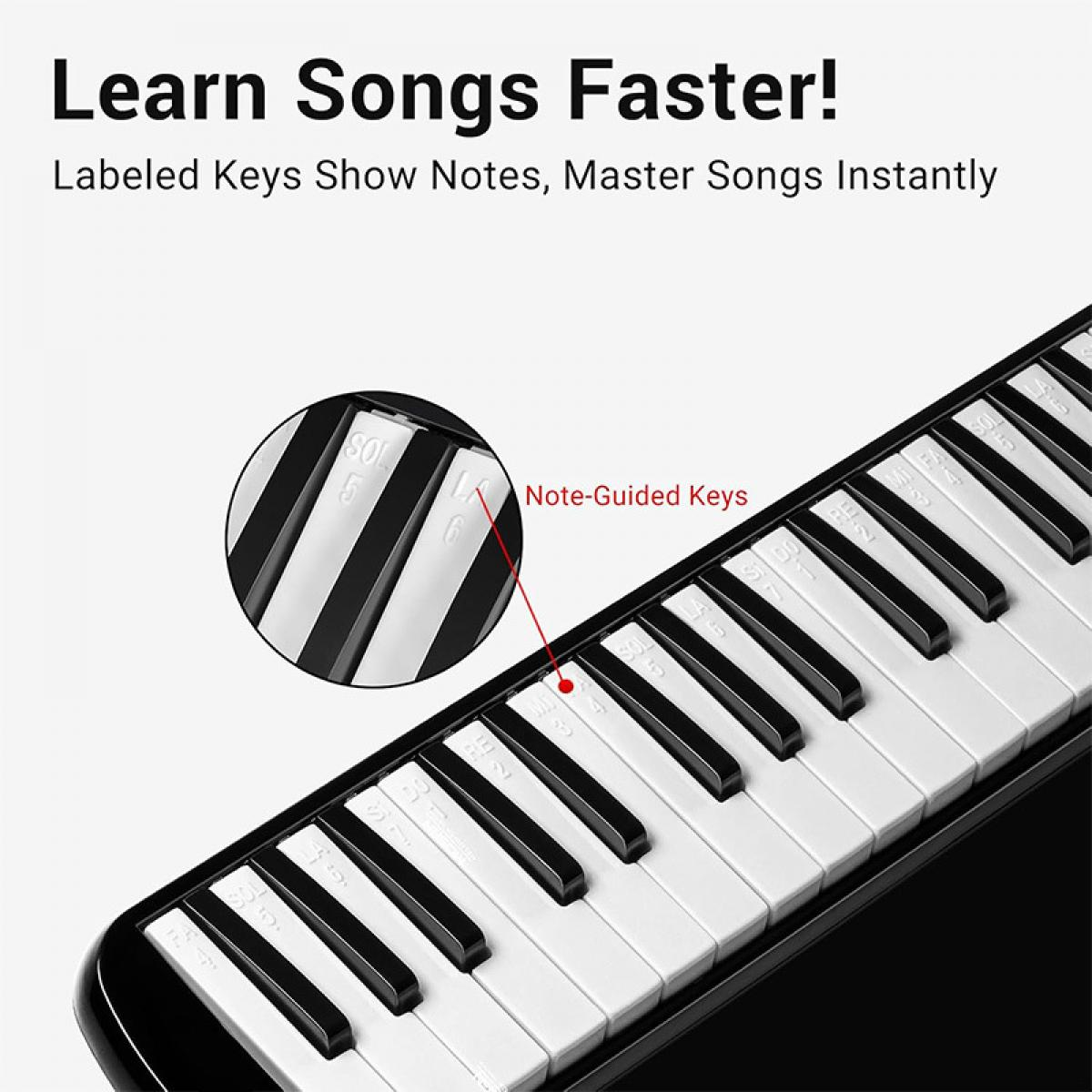 Ein Melodica mit beschrifteten Tasten, die Noten zeigen.