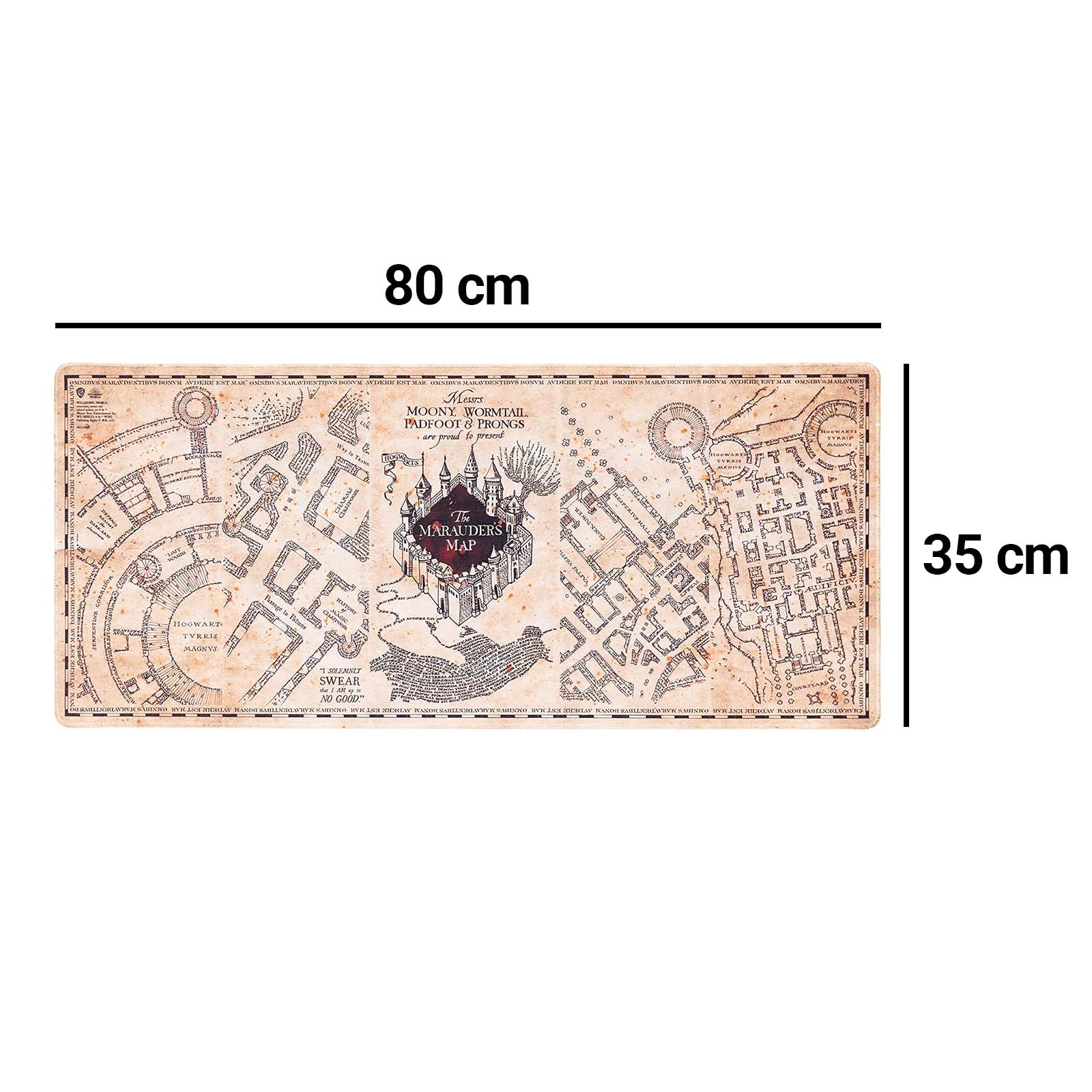 Una mappa di Hogwarts con nomi ed edifici.