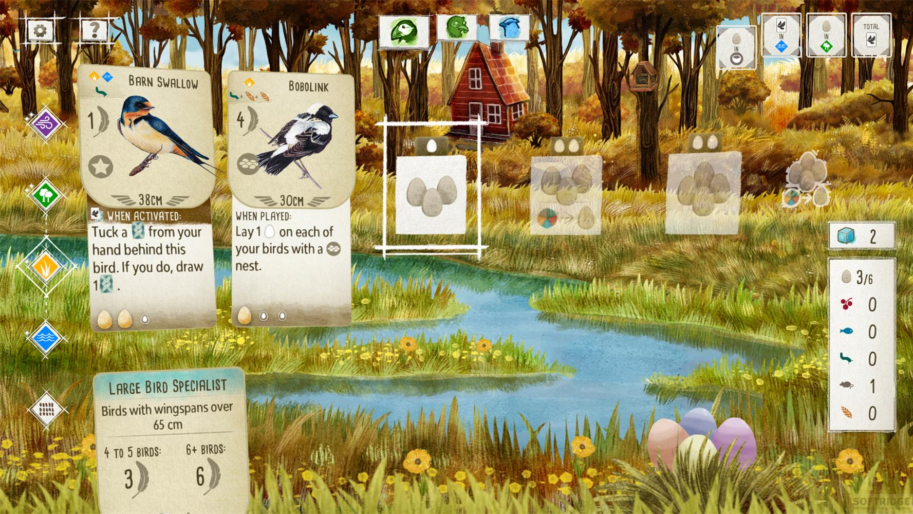 Ein Brettspiel mit Naturthema, Vögeln, Eiern und einem Fluss. Karten zeigen Vögel und Spielaktionen.