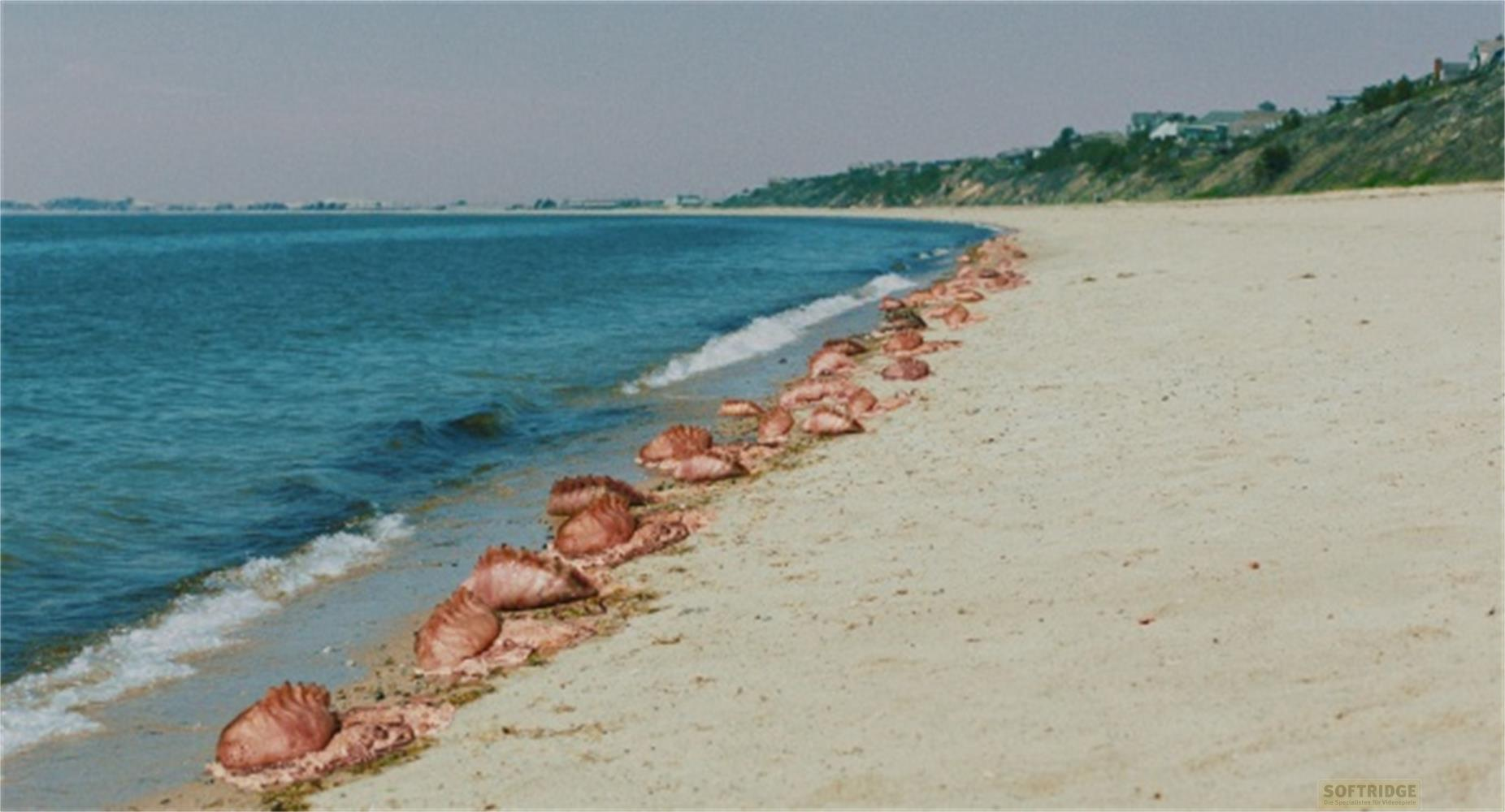 Un gran numero di meduse costeggia una spiaggia sabbiosa vicino all'acqua blu.