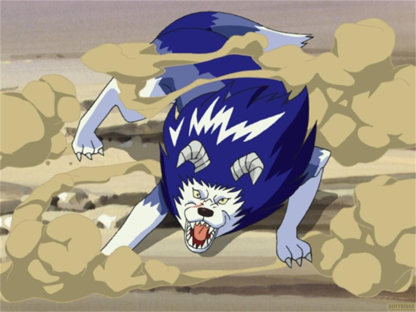 Un cane lupo blu e bianco corre tra sabbia e polvere.