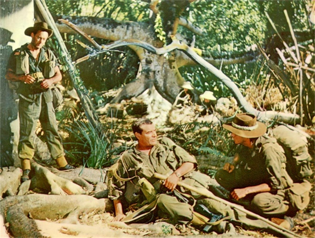 Trois soldats en uniforme et chapeaux sont assis et debout dans une jungle.
