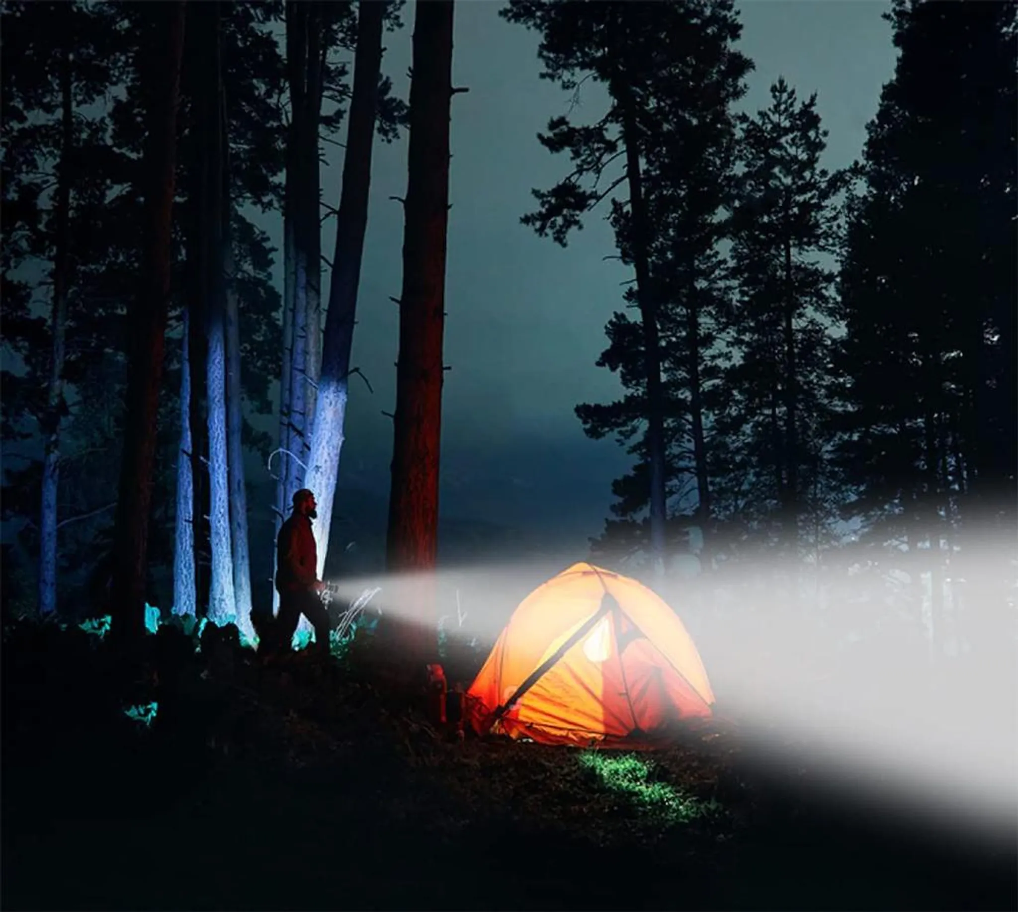 Mann mit Stirnlampe beleuchtet Zelt im dunklen Wald bei Nacht.