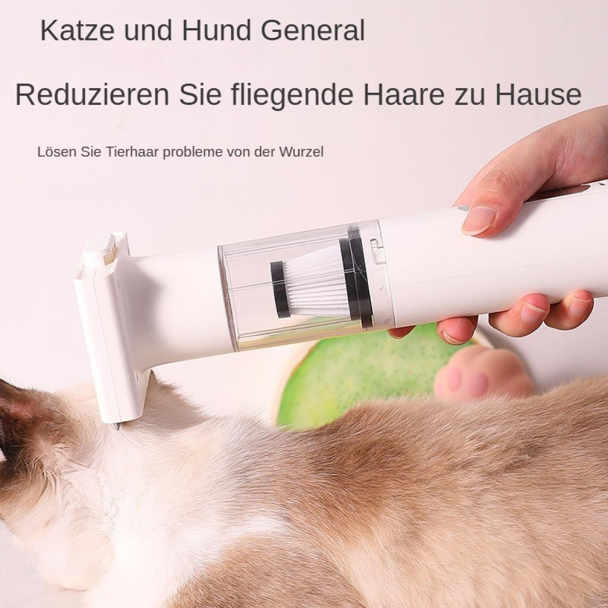 Ein weißer Haarentferner wird über das Fell einer Katze geführt.