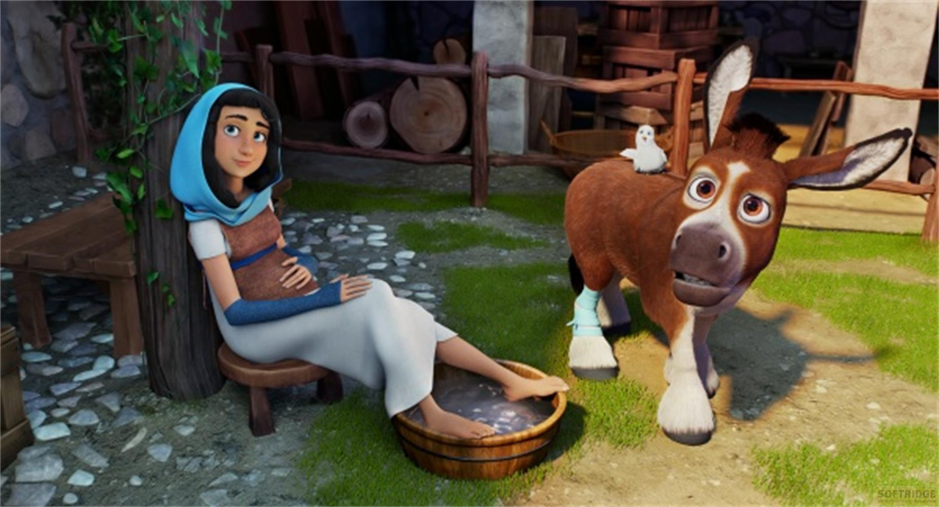 Una donna con copricapo blu seduta fuori, piedi in una vasca di legno. Un asino vicino.