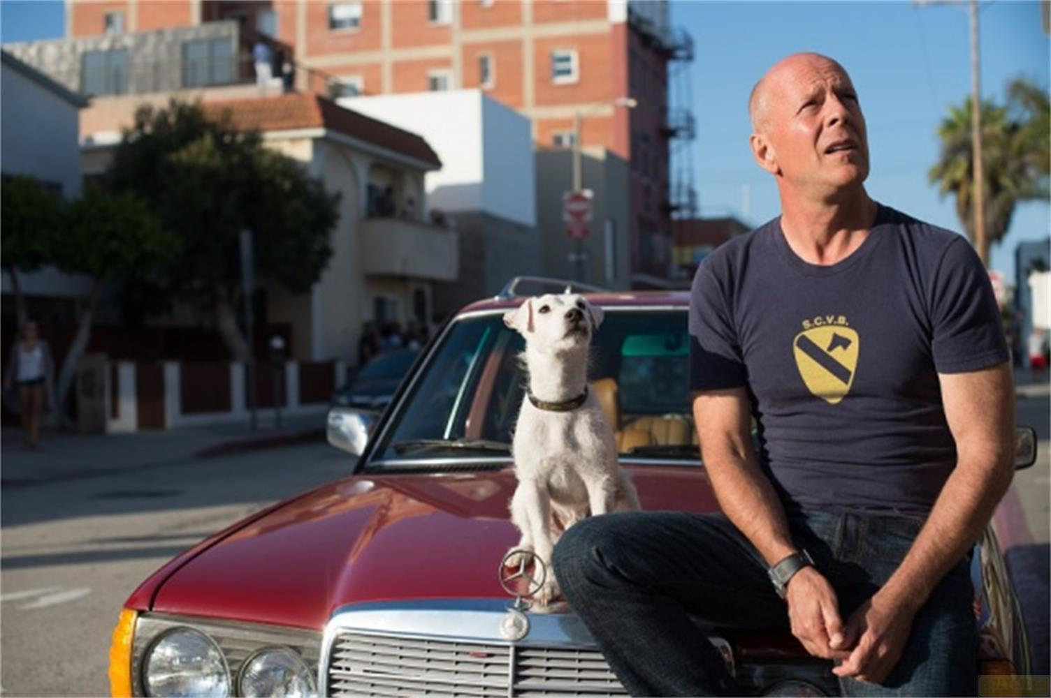 Uomo con cane sul cofano dell'auto davanti agli edifici.