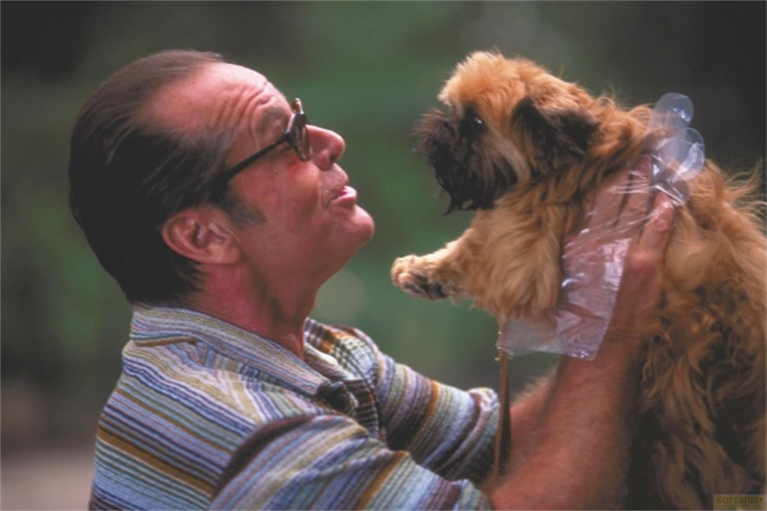 Un homme portant des lunettes tient un chien brun dans ses mains.
