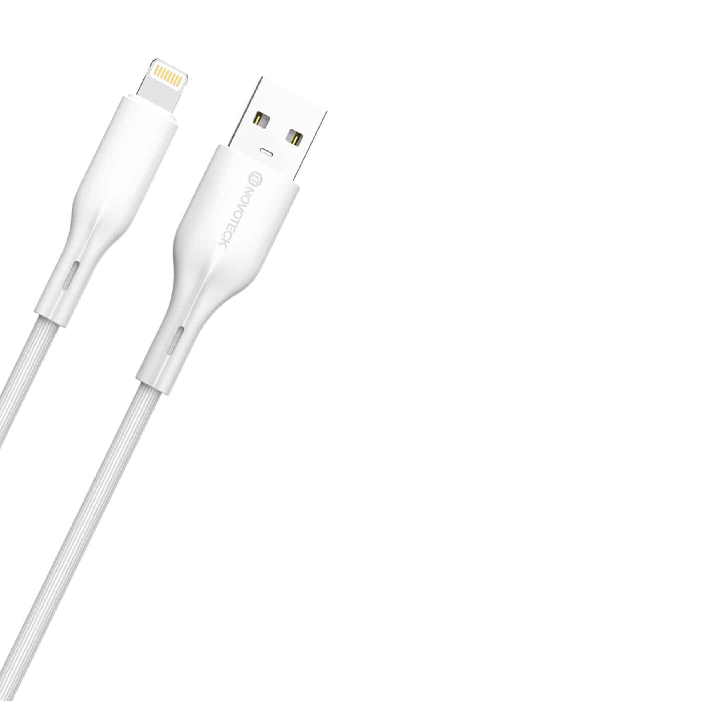 Un cavo lightning bianco e un cavo USB con connettori argentati.