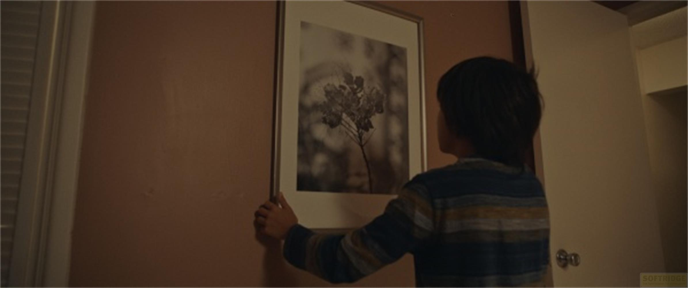 Un ragazzo appende un quadro in bianco e nero di una pianta a un muro.