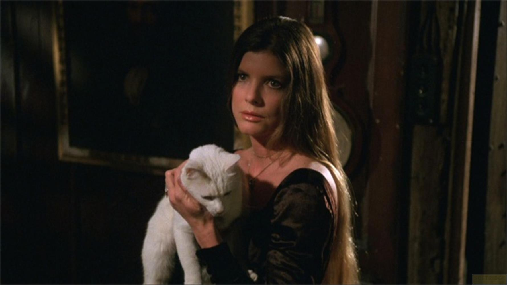 Una donna tiene un gatto bianco in una stanza buia.