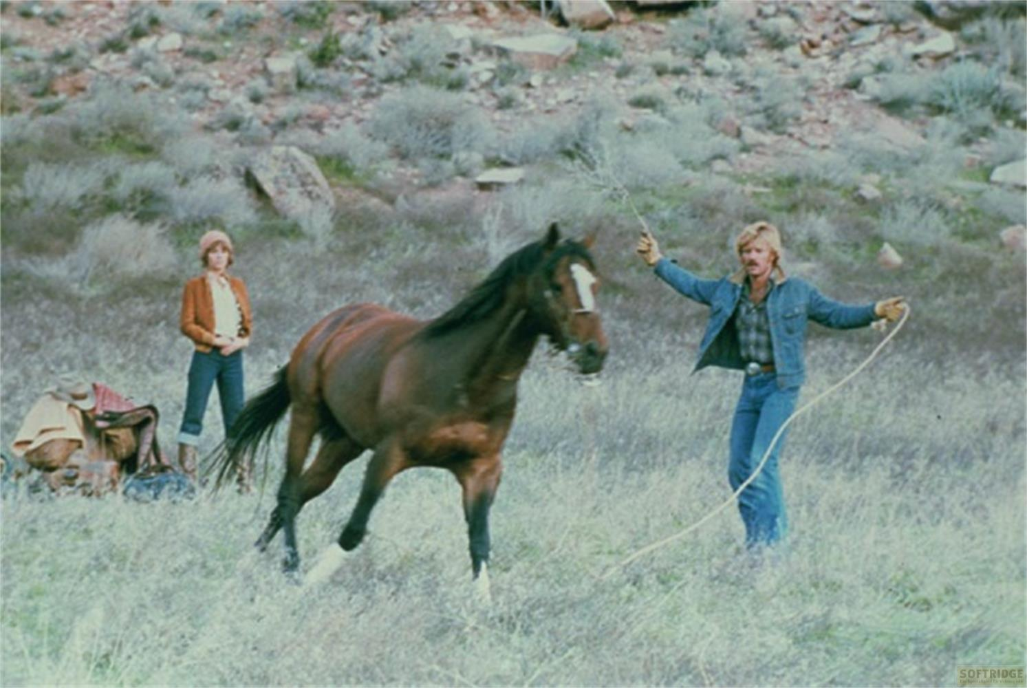 Un uomo con un lazo e una donna accanto a un cavallo in un paesaggio roccioso.