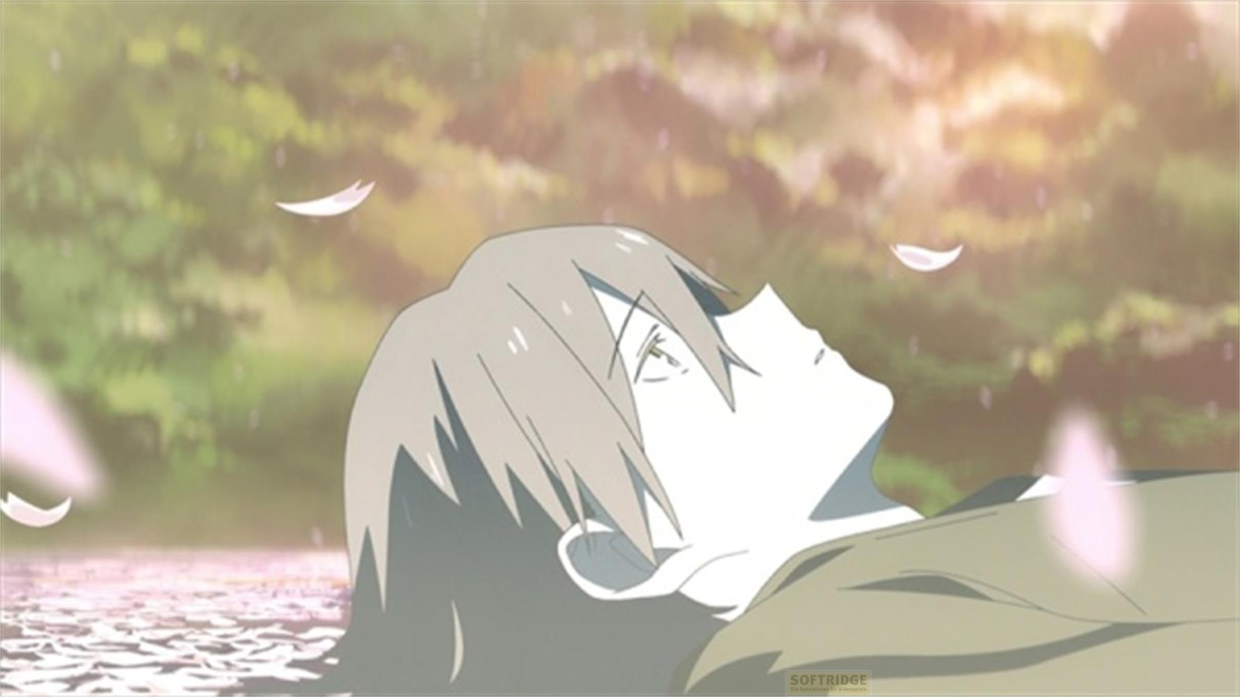 Scena anime: persona sdraiata sulla schiena, petali che cadono.