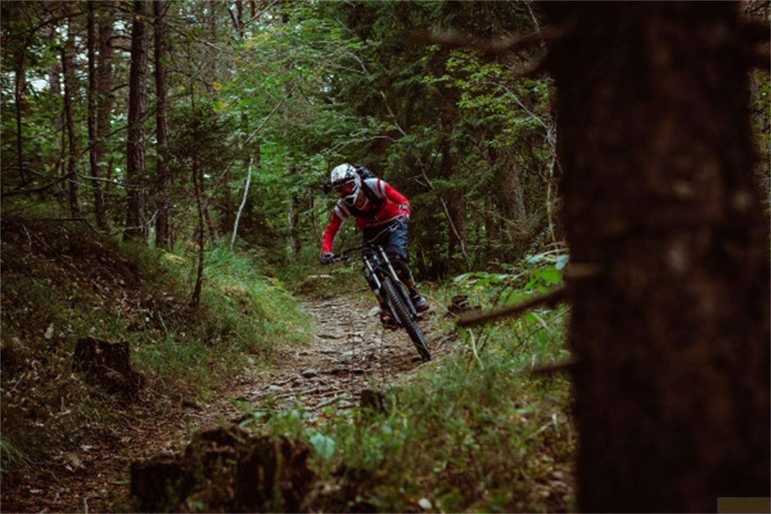 Una persona va in mountain bike su un sentiero roccioso in una foresta fitta.