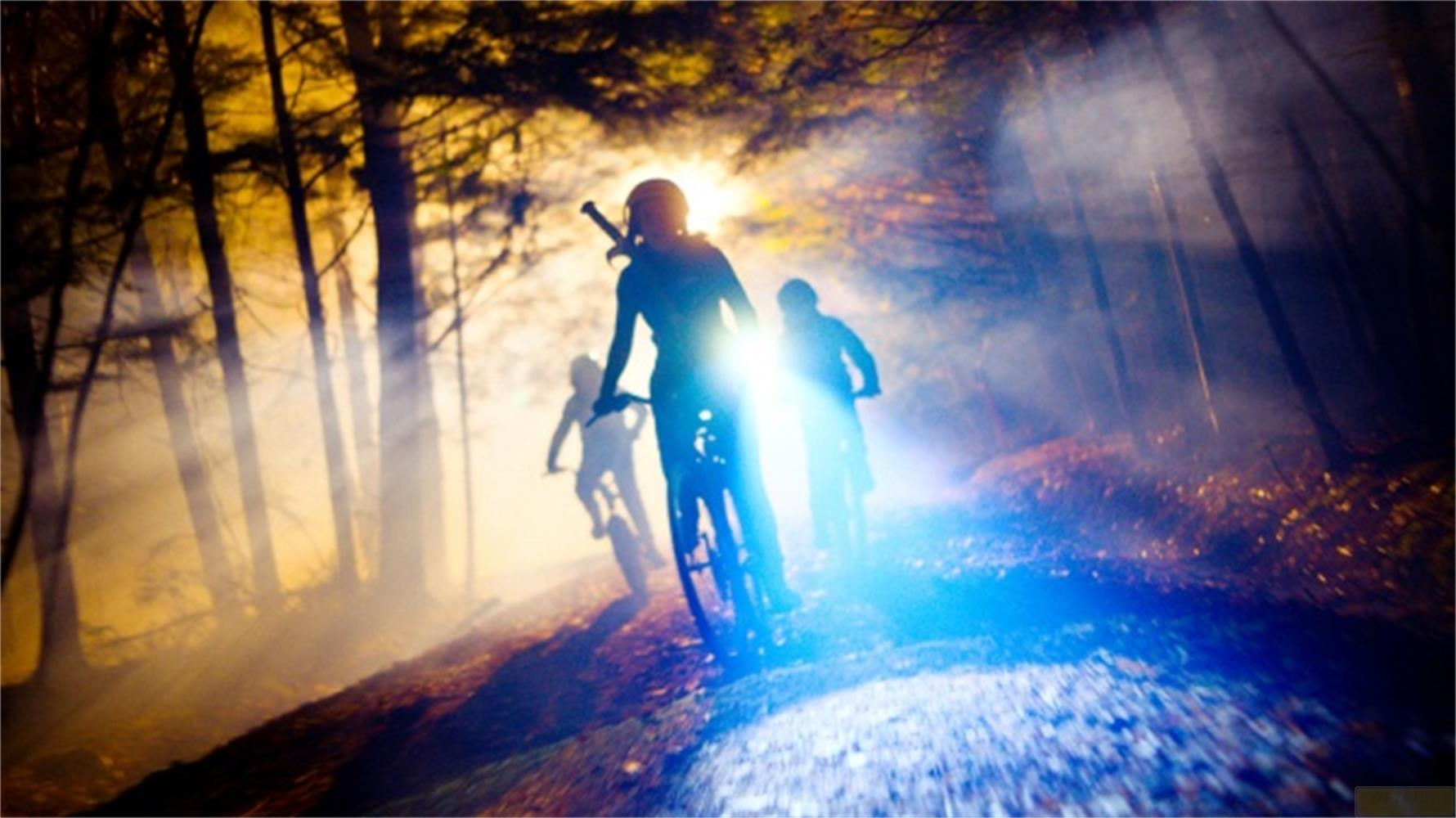 Ciclisti pedalano in un bosco nebbioso di notte, illuminati dai fari.