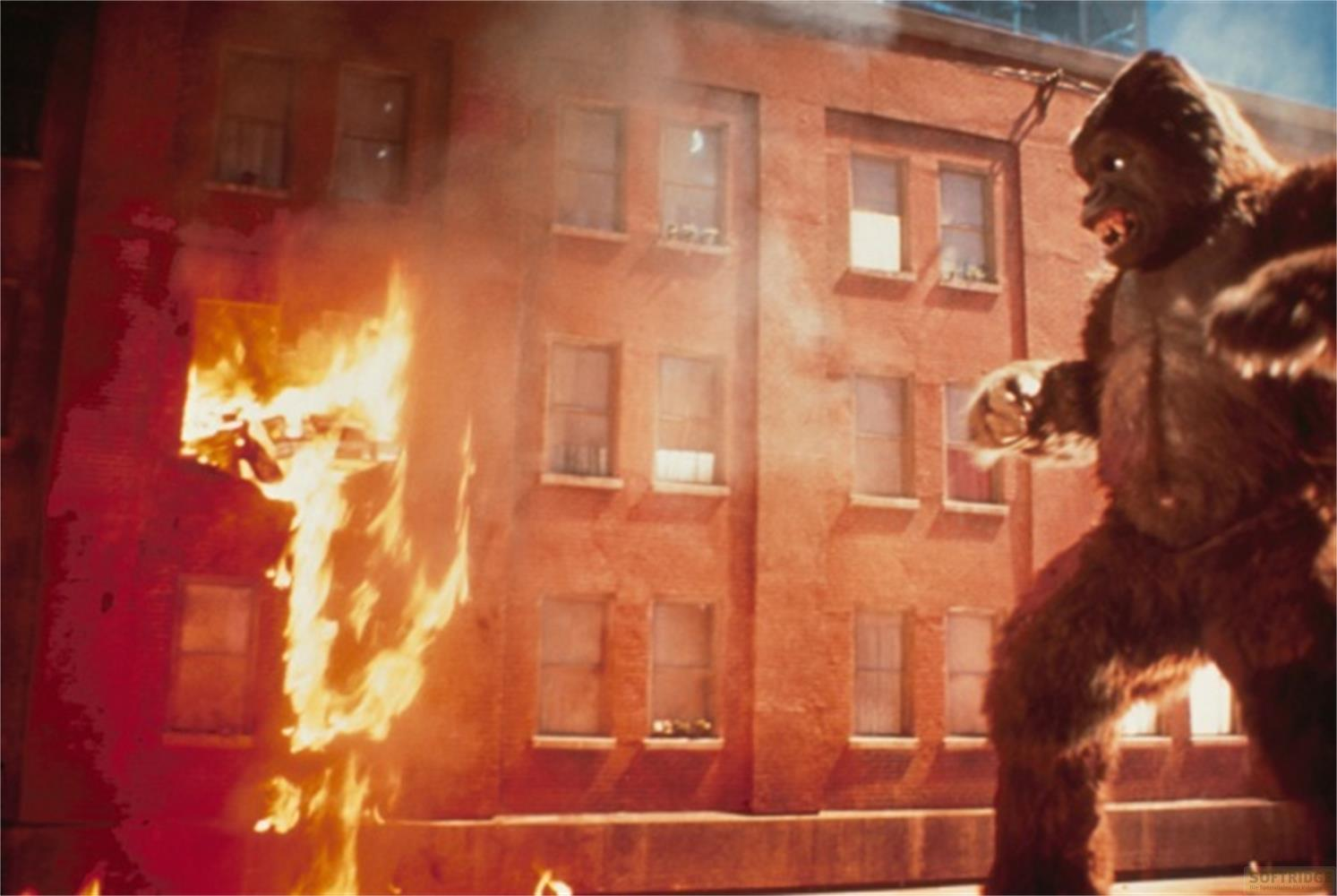 Un gorilla si trova di fronte a un edificio in fiamme con finestre.