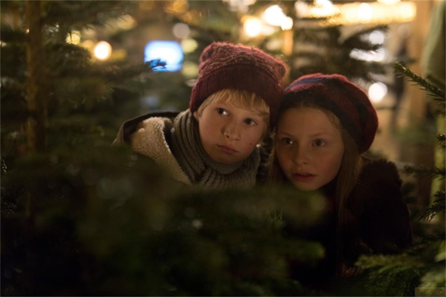 Deux enfants en bonnet regardent curieusement à travers des branches de sapin, lumières.