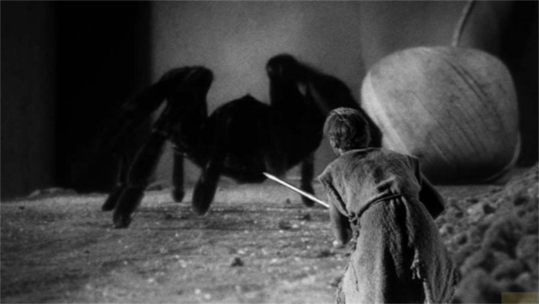 Un homme avec une lance fait face à une araignée géante.