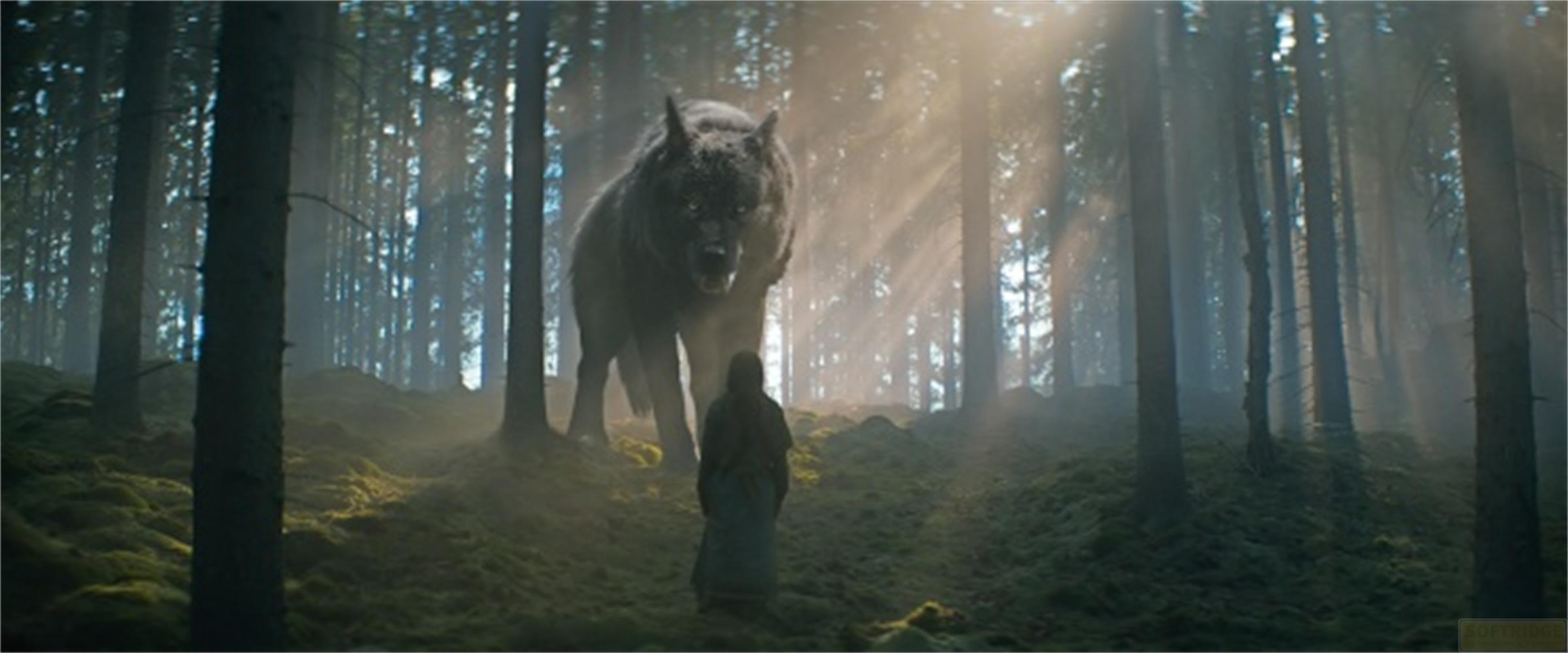 Un lupo gigante affronta una persona in una foresta nebbiosa.