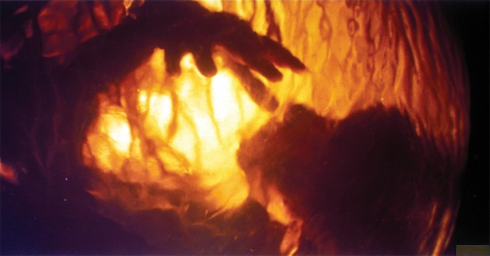 Una mano si protende verso una luce arancione brillante con tonalità calde.