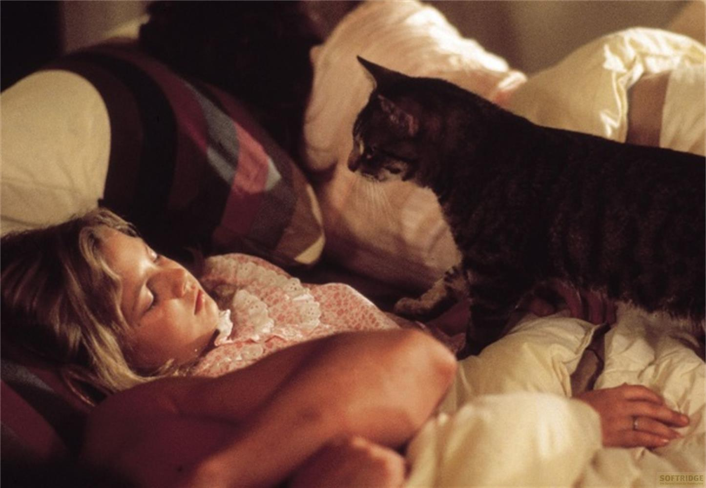 Un gatto sta sopra una bambina che dorme in un letto con un vestito di pizzo rosa.