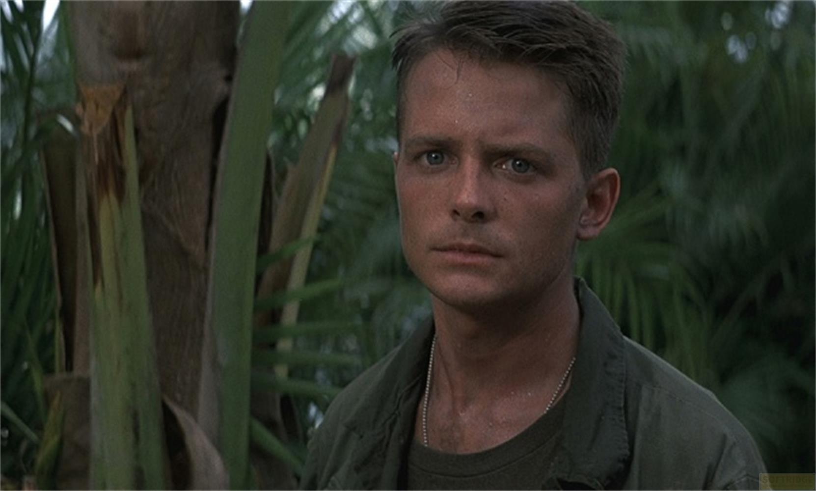 Homme en uniforme dans la jungle, avec des arbres au premier plan.