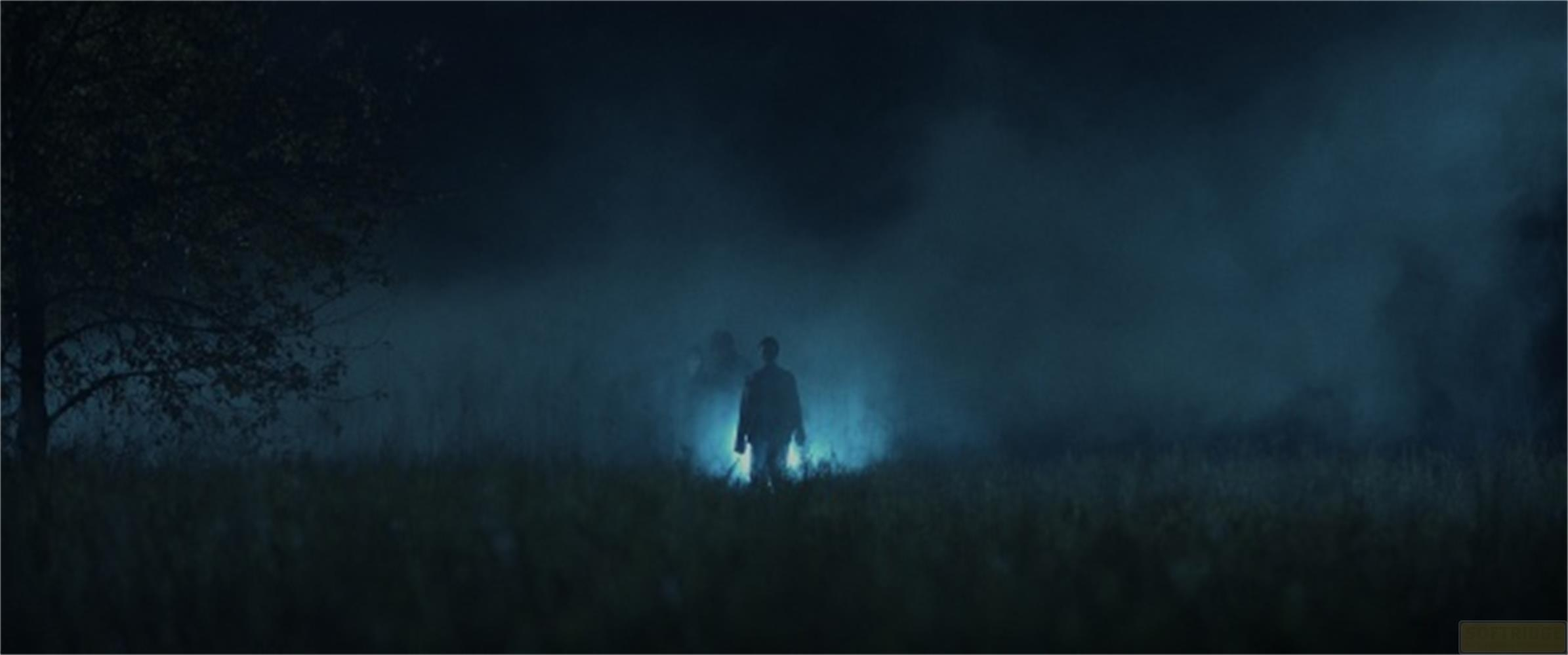 Due sagome in piedi nell'erba nebbiosa illuminate da luci.