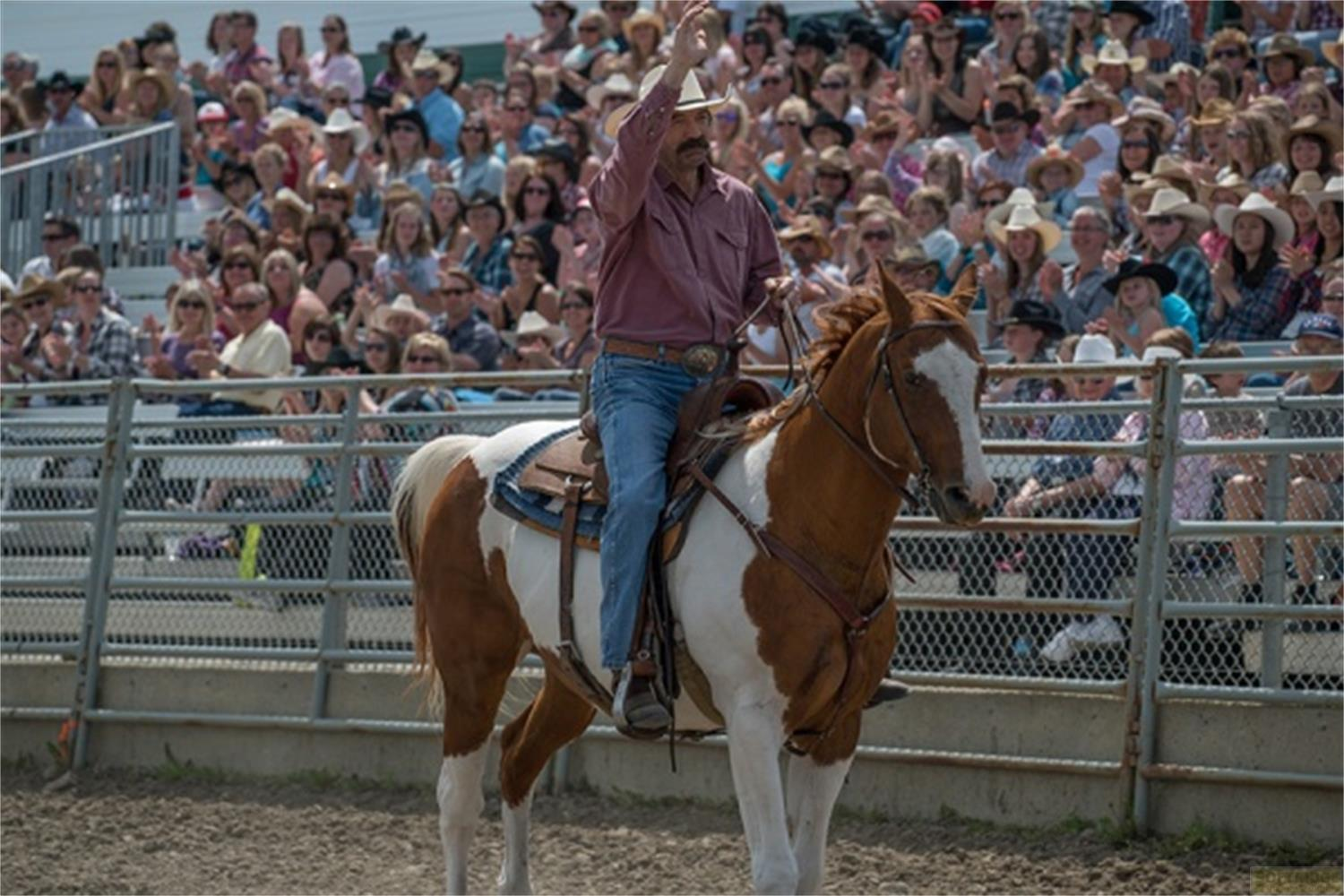 Un uomo su un cavallo marrone e bianco saluta la folla in un rodeo.