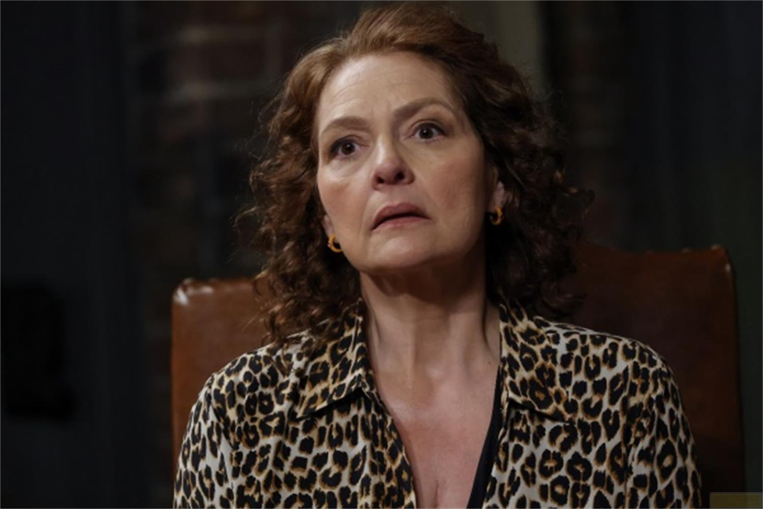 Una donna con capelli castani ricci indossa una camicia leopardata e orecchini a cerchio dorati.
