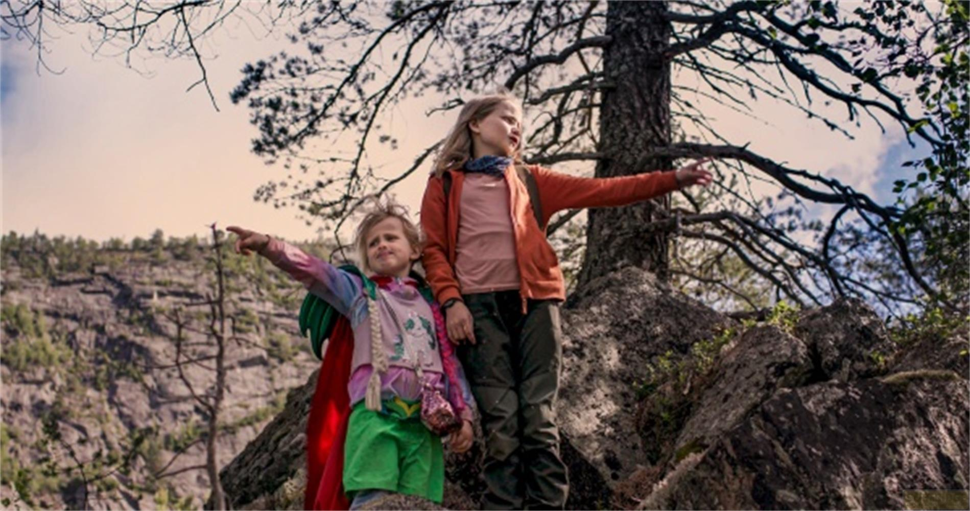 Due bambine in piedi sulle rocce, indicano in lontananza, in una foresta.