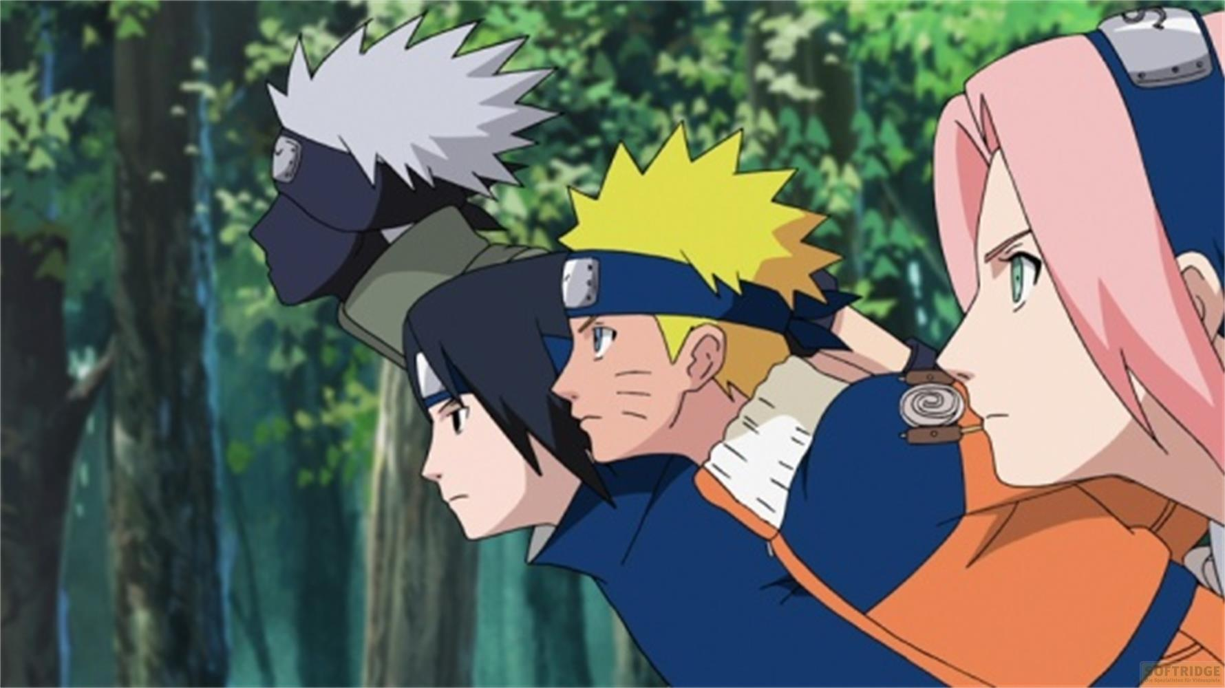 Quattro personaggi in fila in una foresta. Kakashi, Sasuke, Naruto e Sakura.
