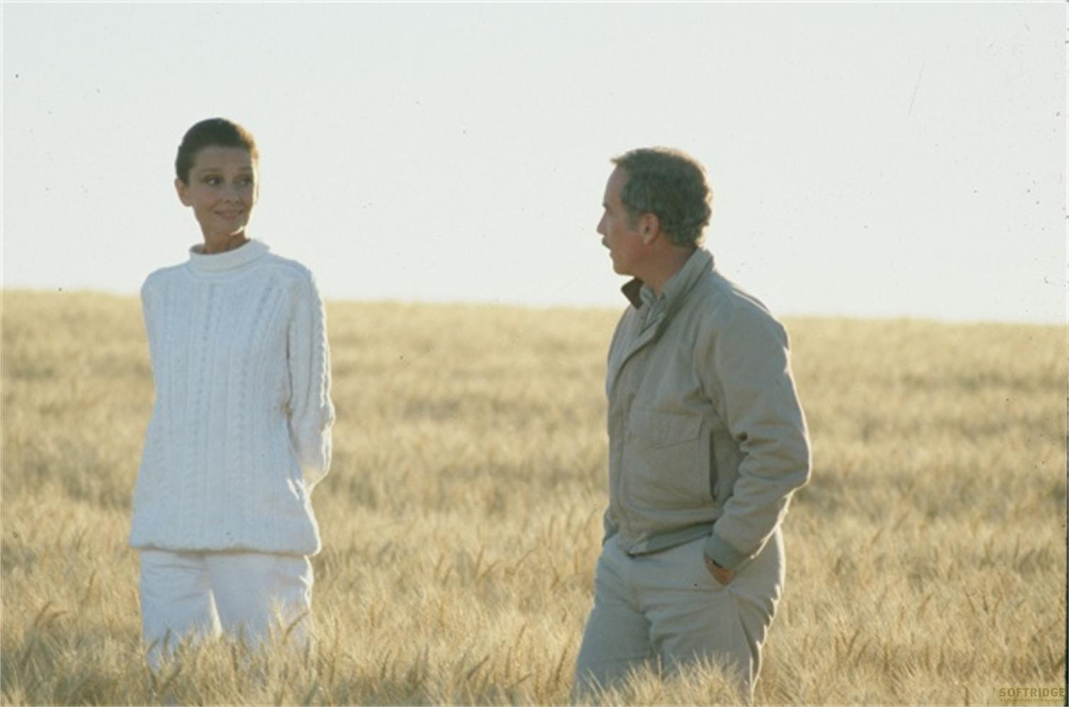 Una donna in maglione bianco e un uomo in giacca in un campo di grano.