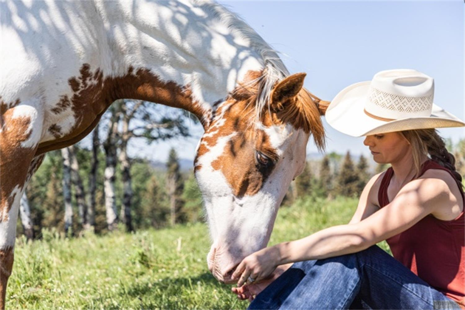 Eine Frau im Cowboyhut streichelt ein braun-weißes Pferd im Gras.
