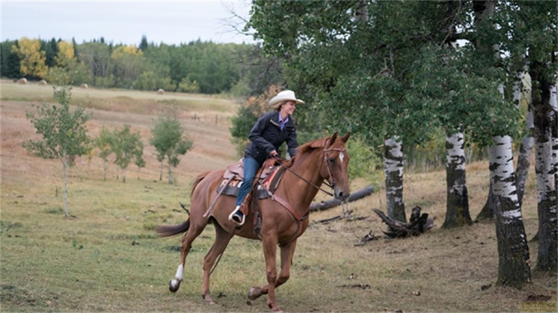Una donna con cappello bianco cavalca un cavallo marrone in un paesaggio erboso.