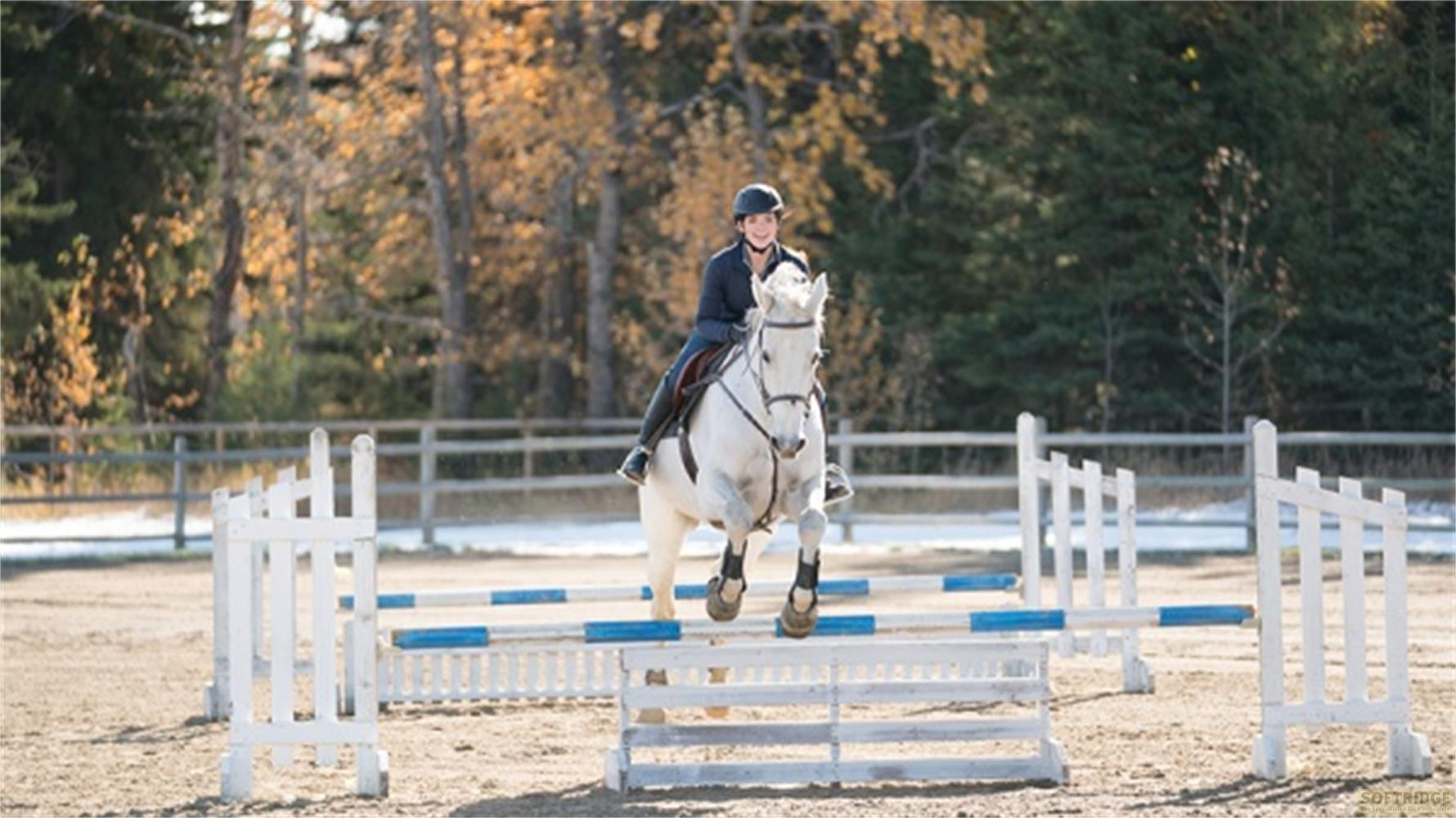 Una cavallerizza su un cavallo bianco salta un ostacolo in uno spettacolo.