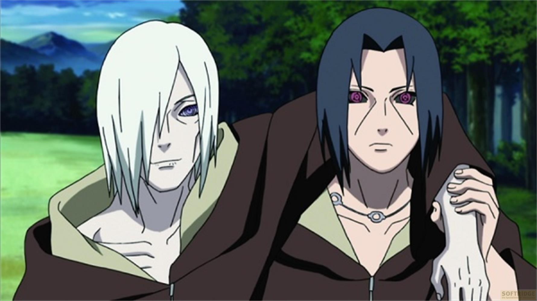 Due personaggi anime con capelli bianchi e neri stanno all'aperto.