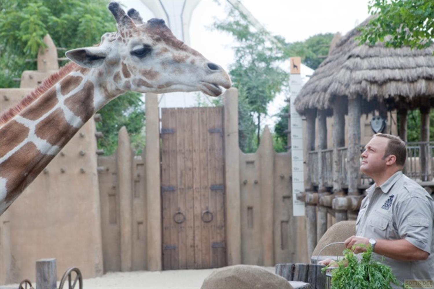 Un homme dans un zoo regarde une girafe qui tend la tête vers lui.