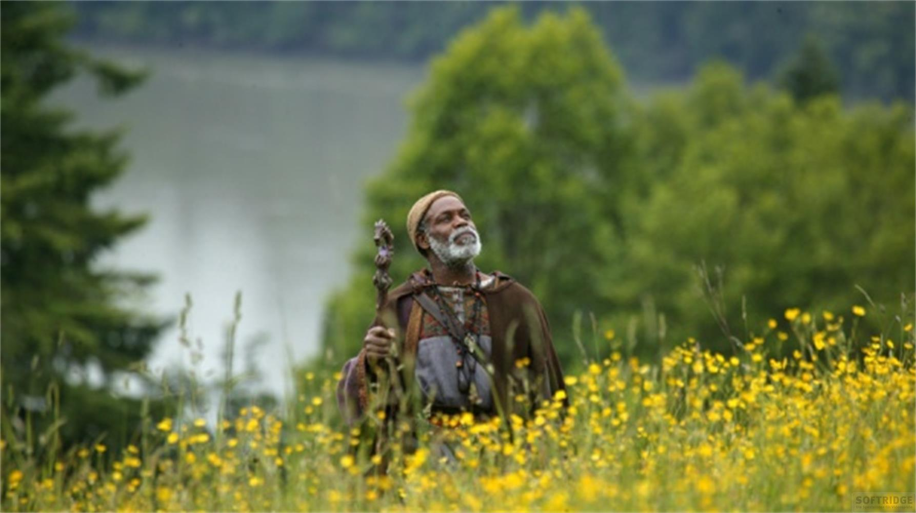 Un uomo con un bastone si trova in un campo di fiori gialli, con un lago sullo sfondo.