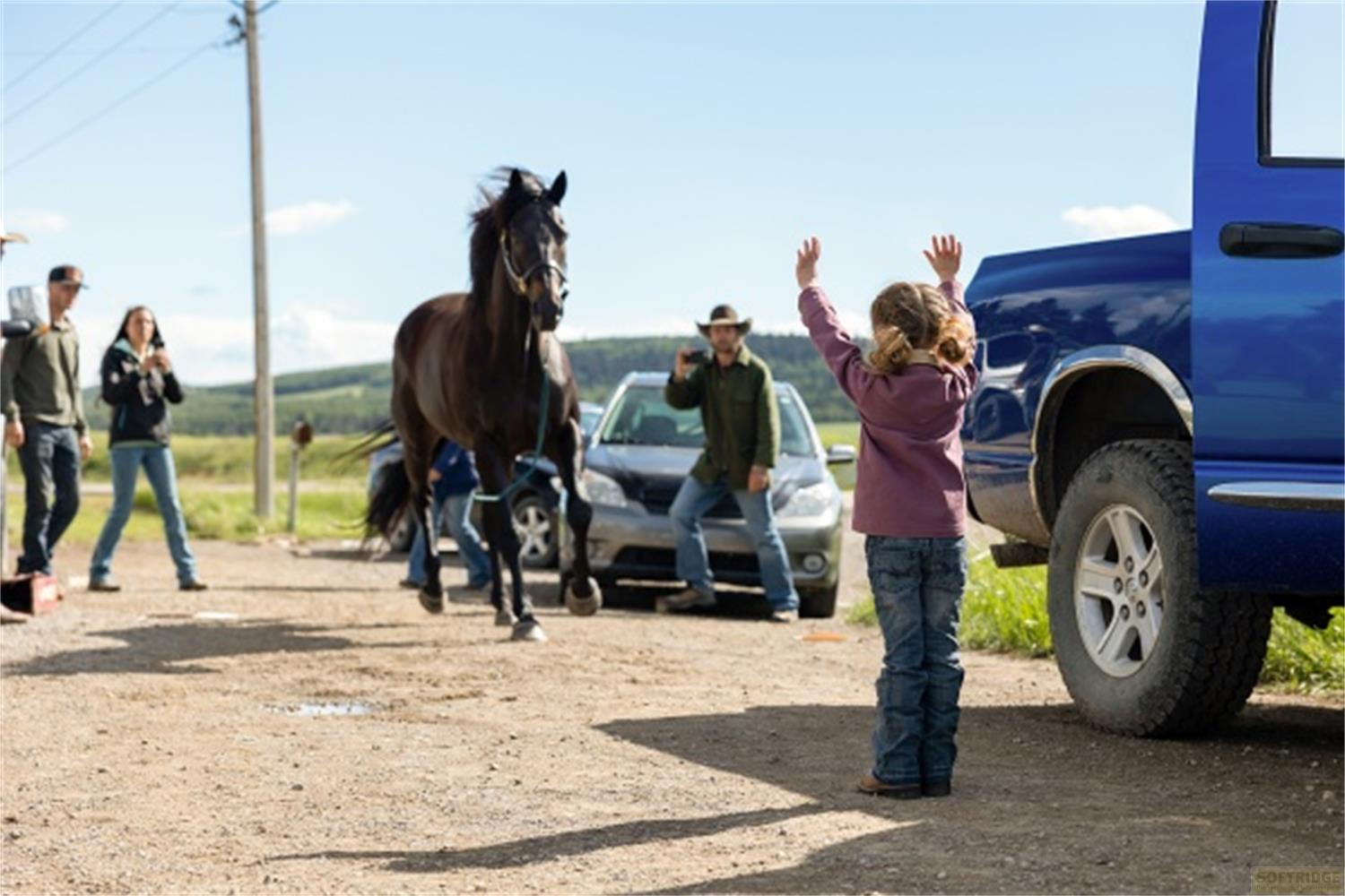 Un cavallo marrone su una strada sterrata, con bambini e auto visibili.