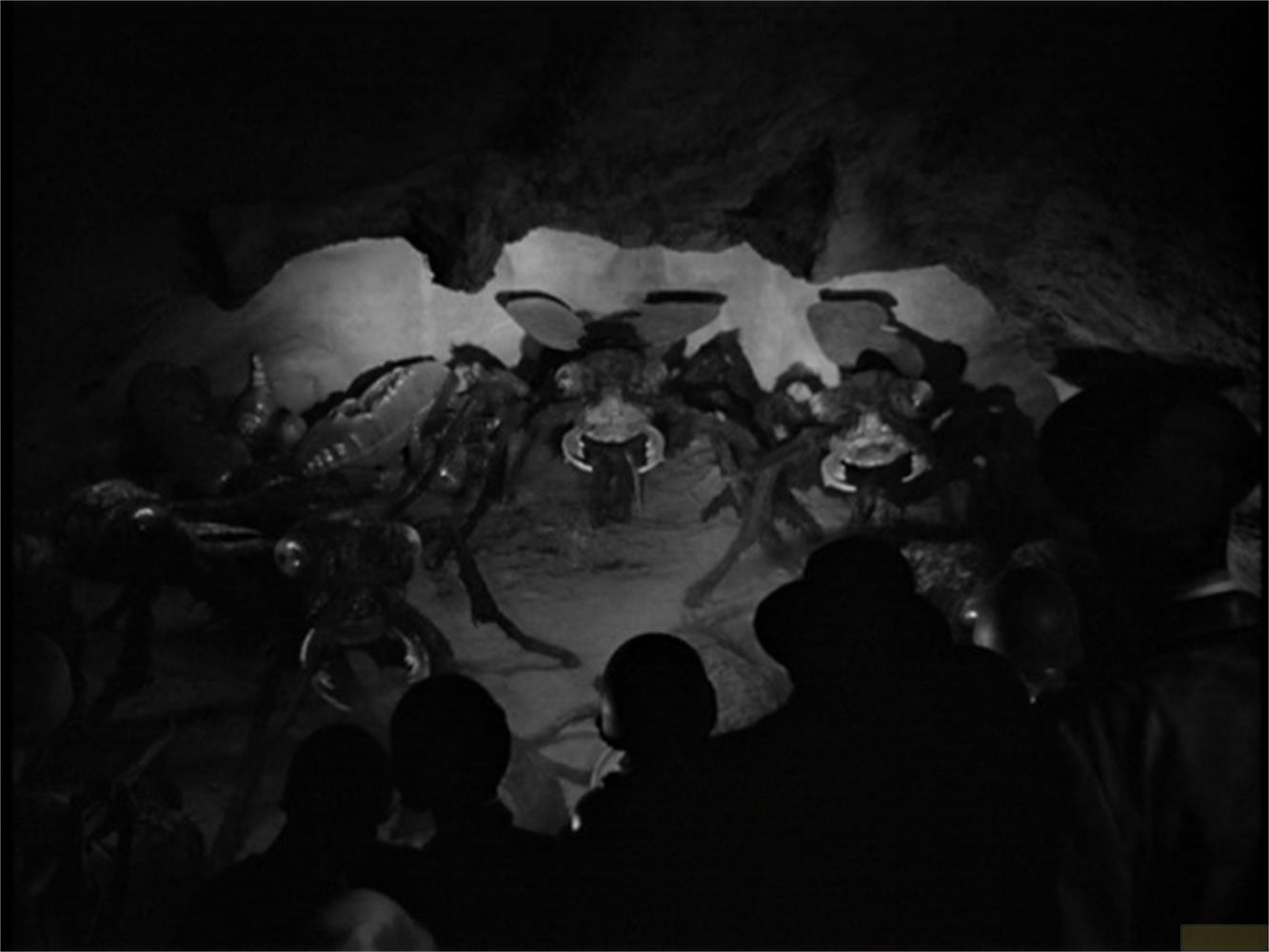Persone in silhouette osservano ragni giganti in una grotta buia.