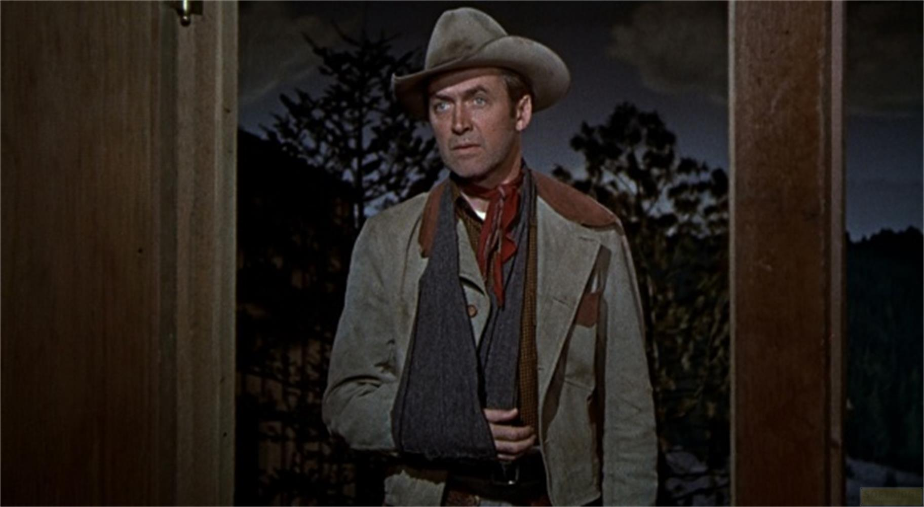 Uomo con cappello da cowboy e imbracatura al braccio davanti agli alberi.