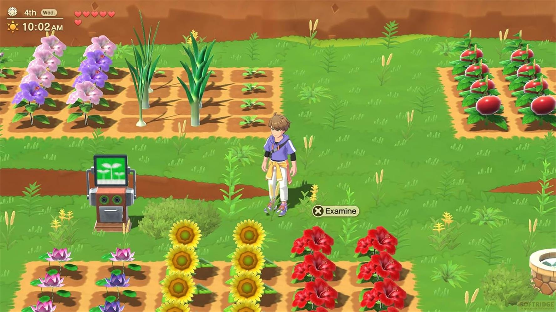 Un personaggio dei cartoni animati si trova in un campo con varie colture, fiori e un computer.