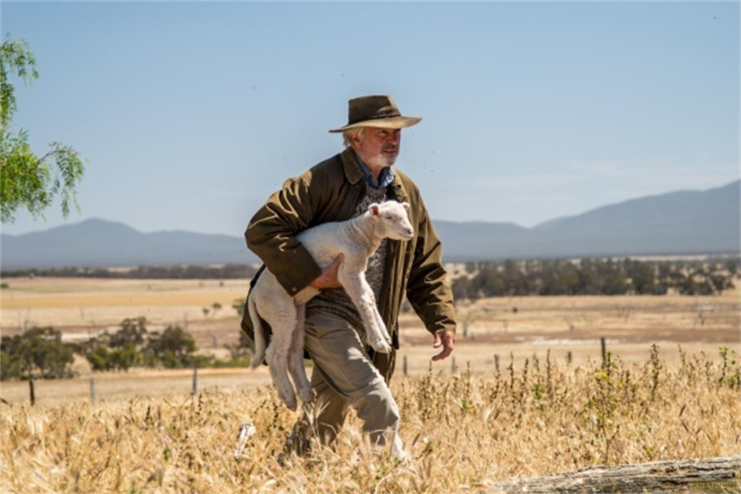 Un uomo con cappello porta un agnello in un campo secco.